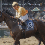 Lavoyeuse Minarik: A Guide for Jockeys