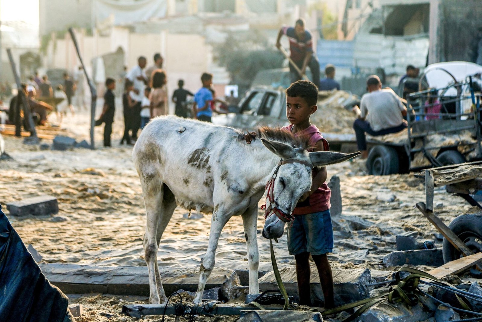 'I don't know': Trump says about the Israeli statement that there is no star crisis in Gaza
