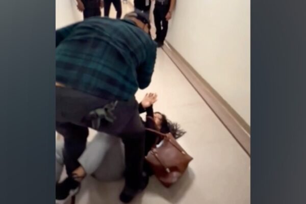 ICE officer 'relieved of current duties' after a violent confrontation captured by the Chamber