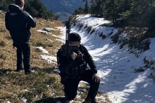 2 hikers hospitalized after encountering grizzly bear with 2 cubs on trail