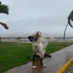 Hurricane Melissa hits Jamaica: how to help