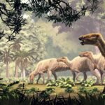 'Incredibly preserved' dinosaur 'mummies' discovered in Wyoming have skin and hooves