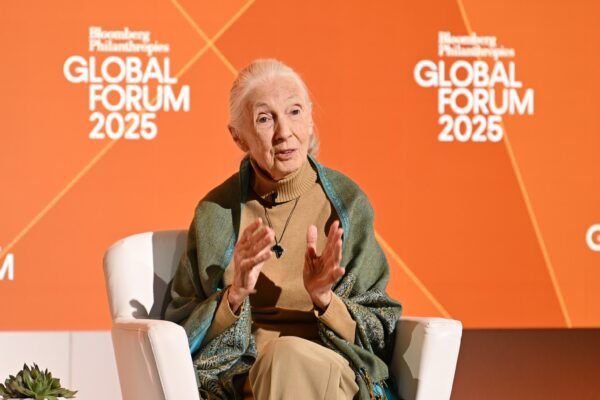 Jane Goodall, famous primatologist and conservationist, dies at 91