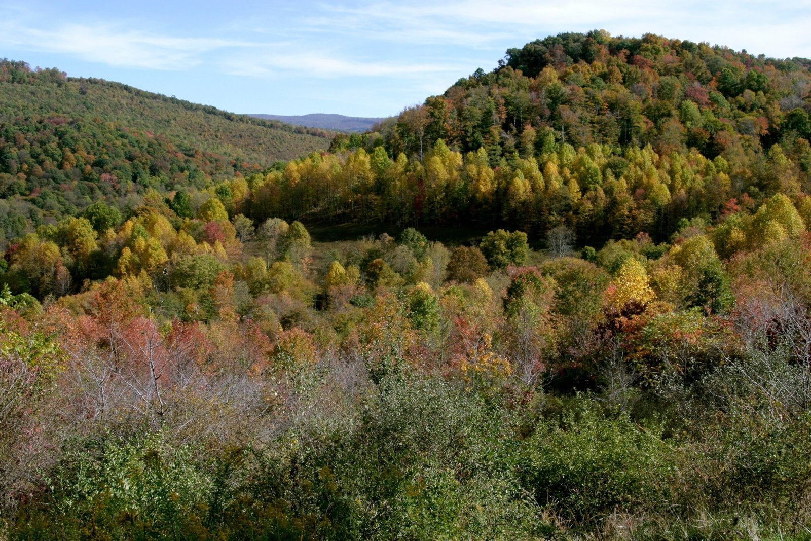 Missing West Virginia coal miner found dead after nearly a week trapped underground: Governor