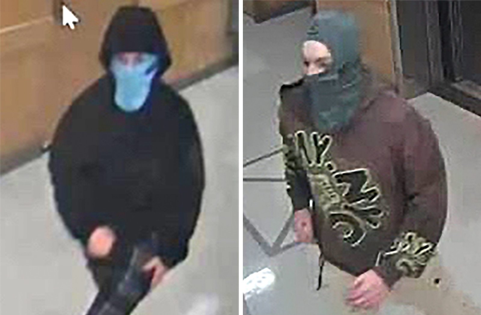 Two young men arrested in explosion at Harvard Medical School: FBI