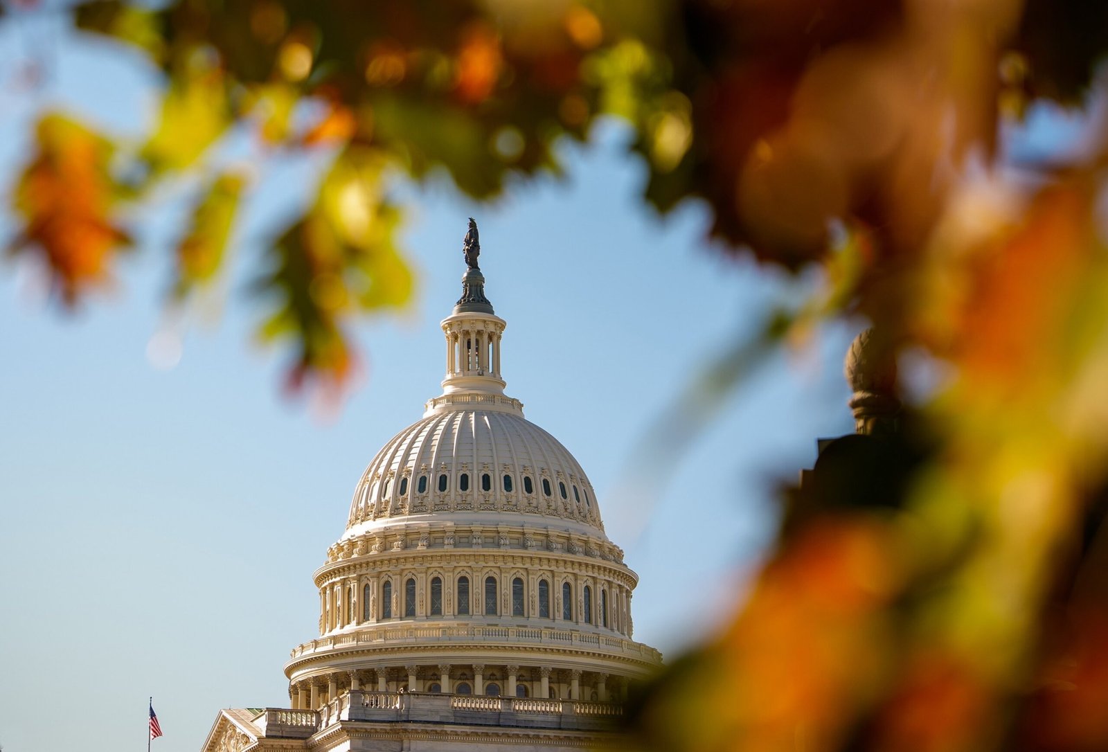 With a year to go until Election Day, Tuesday's results could shape the 2026 midterms